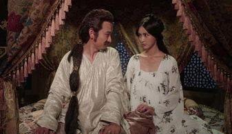 汉家女在线观看,穿越时空的美丽传奇  第2张