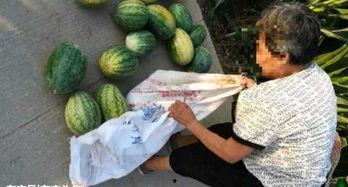 沛县吃瓜最新事件爆料,揭秘背后真相与争议  第1张